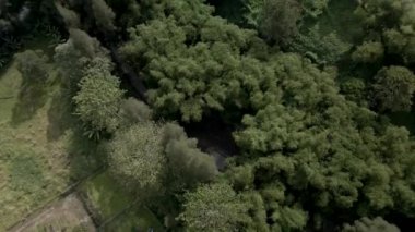 Doğayla iç içe olan büyük bir binanın hava görüntüleri, insansız hava aracı ile çekildi.