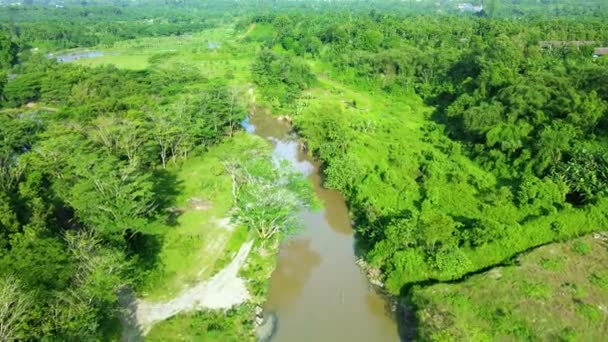 Nagranie Powietrza Pokazujące Ścieżkę Rzeki Następnie Przenoszące Się Opuszczonego Stawu — Wideo stockowe