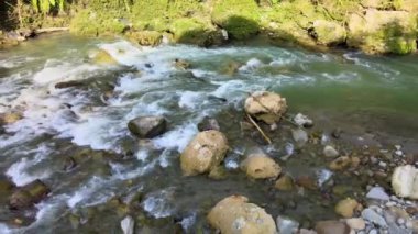 Nehir yolunu takip eden bir dronun hava görüntüleri.