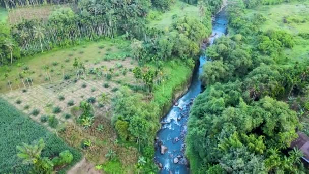 Nagranie Lotnicze Które Ścieżce Rzeki Patrząc Horyzont Zrobione Dronem — Wideo stockowe