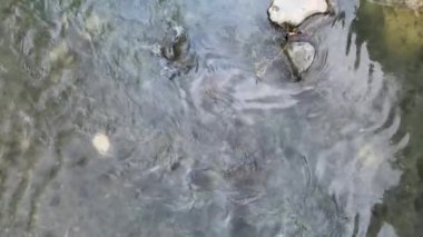 Nehir yolundaki su akışını gösteren hava görüntüleri, bir dron ile çekilmiş.