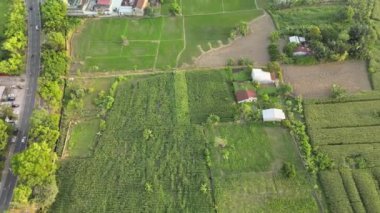 Şehir uygarlığı tarafından kuşatılan ve insansız hava aracıyla çekilen bir alanın hava görüntüleri.