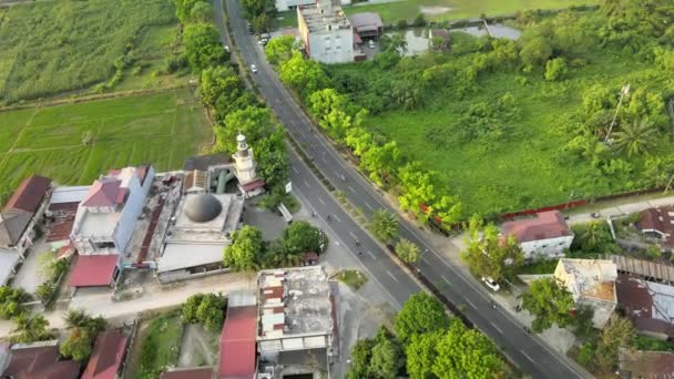 Aerial Footage Focused Road Which Flanked Trees Taken Drone — Stock Video