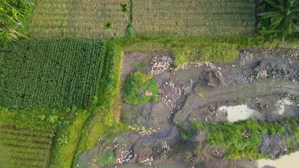 Letecký Záznam Pole Které Později Ukazuje Vyschlou Řeku Pořízenou Dronem — Stock video
