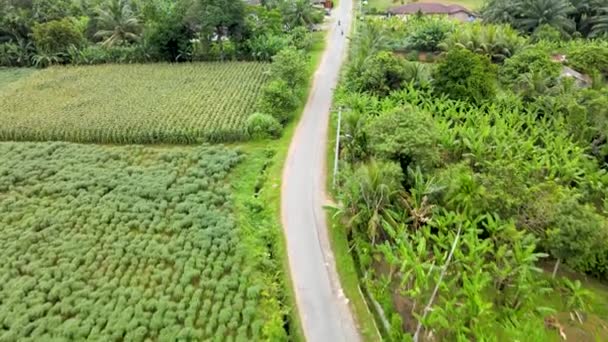 Letecké Záběry Cesty Malé Vesnici Pořízené Dronem — Stock video