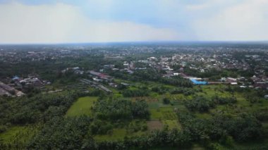 Bitki tarlalarının ve palmiye yağı sahalarının havadan çekilmiş görüntüleri.