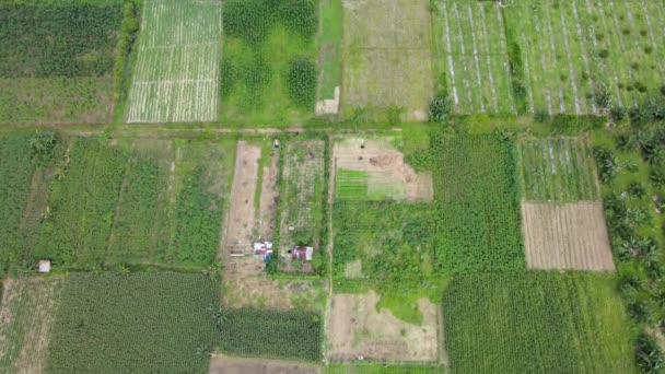 Letecké Záběry Polí Výhledem Předměstí Vedle Něj Pořízené Dronem Odhaleným — Stock video