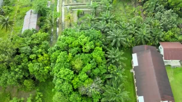Letecké Záběry Stromů Kaluží Domů Předměstí Pořízené Dronem — Stock video