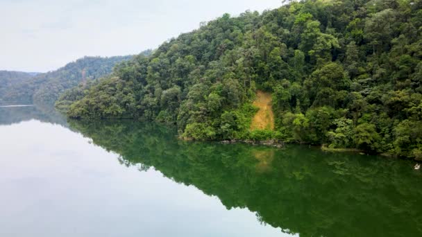 用无人机拍摄的水面反射的森林图像 — 图库视频影像