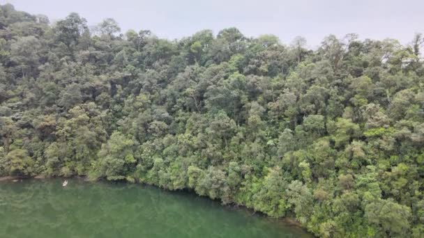 一个森林的空中录像 它隐藏在很远的地方 用无人驾驶飞机拍摄 — 图库视频影像