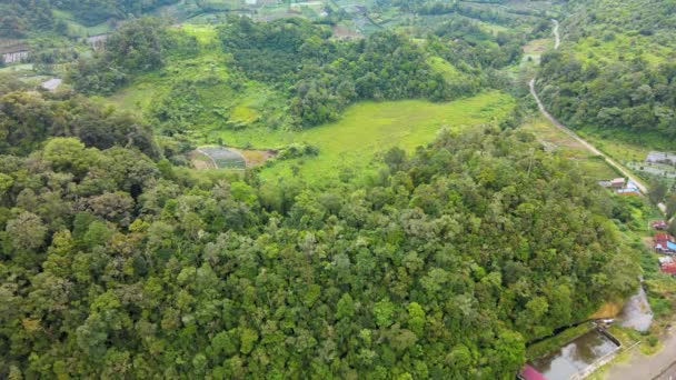 Imágenes Aéreas Pequeño Campo Medio Bosque Tomadas Con Dron — Vídeos de Stock
