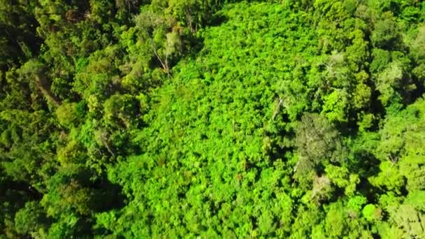 Imágenes Aéreas Bosques Campos Con Majestuosa Colina Frente Tomadas Con — Vídeo de stock