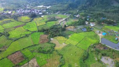 İnsansız hava aracıyla çekilen tarlalarla çevrili küçük bir ormanın hava görüntüleri.