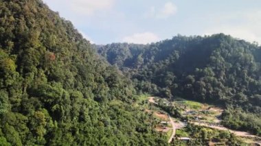 Sağda bir köyde büyüyen ve insansız hava aracıyla çekilen yoğun ormanın hava görüntüleri.