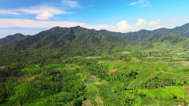 Önünde Görkemli Bir Tepe Bulunan Ormanla Çevrili Tarlaların Hava Görüntüleri — Stok video