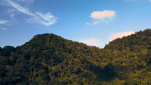 在用无人驾驶飞机拍摄的山上生长的茂密森林的空中录像 — 图库视频影像