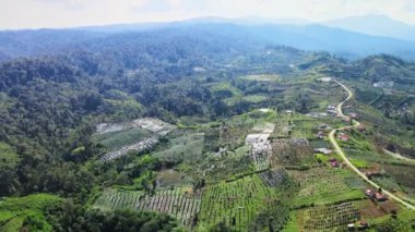 Birden fazla tarlanın ve yukarıda gökyüzü manzaralı bir ormanın insansız hava aracı ile çekilmiş görüntüleri.