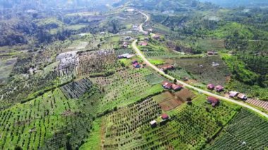 Yol kenarındaki bir çok tarladan havadan görüntüler.