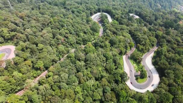 Aerial Footage Dense Forest Curvy Road Way Build Taken Drone — Stock Video