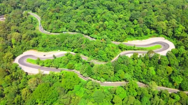 Nagranie Lotu Ptaka Zakrzywionej Drodze Środku Lasu Zrobione Małym Kolistym — Wideo stockowe