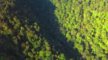 Yoğun bir ormanın ortasındaki bir nehir yolunun insansız hava aracı ile çekilmiş hava görüntüleri.