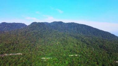 Manzaralı bir tepenin havadan çekilmiş görüntüleri yoğun bir ormanın kapladığı bir tepe oluşturuyor.