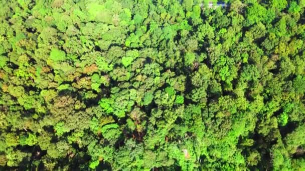 用无人驾驶飞机拍摄的令人赏心悦目的小山的空中镜头 — 图库视频影像