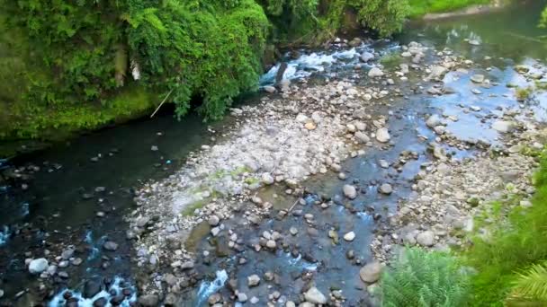 Εναέρια Πλάνα Από Νερό Που Κυλά Ένα Ποτάμι Ανάμεσα Ένα — Αρχείο Βίντεο