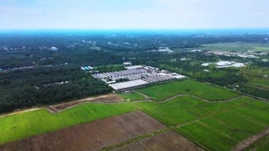 Büyük palmiye ağaçları ve şeker kamışı fidanları tarafından kuşatılmış birden fazla deponun hava görüntüleri, insansız hava aracı ile çekildi.