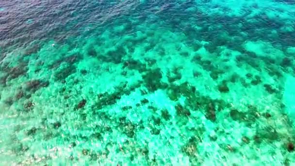 Съемка Воздуха Через Прозрачную Морскую Воду Большим Количеством Камня Морском — стоковое видео