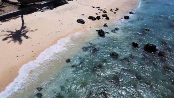 Низькогірні Аерофотознімки Які Були Зосереджені Морській Воді Пливла Над Пляжем — стокове відео