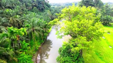 Bir nehir yolunun hava görüntüleri. Her iki tarafta da bir sürü ağaç var. İnsansız hava aracıyla çekilmiş.
