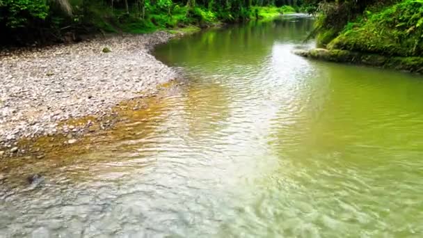 Nagranie Powietrza Powierzchni Przepływającej Rzeki Lesie Zrobione Dronem — Wideo stockowe