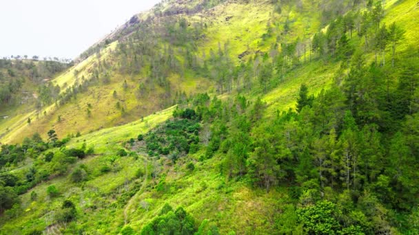 Воздушный След Serene Показывающий Пышные Холмы Окруженные Обильными Деревьями Запечатленный — стоковое видео