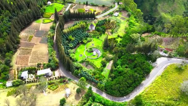 Filmagem Aérea Serena Revela Jardim Lindamente Arranjado Capturado Cima — Vídeo de Stock