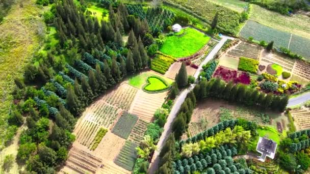 Podmanivé Letecké Záběry Odhaluje Umění Pečlivě Uspořádané Zahrady — Stock video