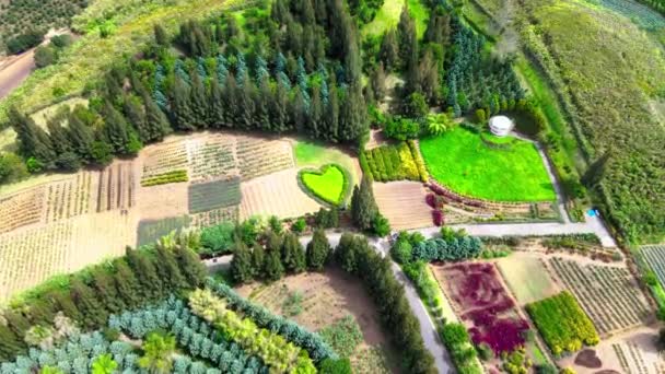 Prachtige Luchtfoto Leg Elegantie Precisie Van Een Zorgvuldig Ingerichte Tuin — Stockvideo