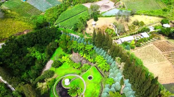 Exquisite Aerial Shots Showcase Intricate Patterns Serenity Beautifully Arranged Garden — Stock Video