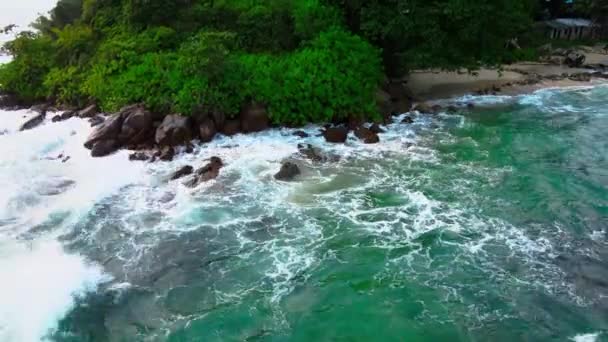 Uppiggande Harmoni Flygbilder Serene Emerald Färgat Havsvatten Och Rikliga Växter — Stockvideo