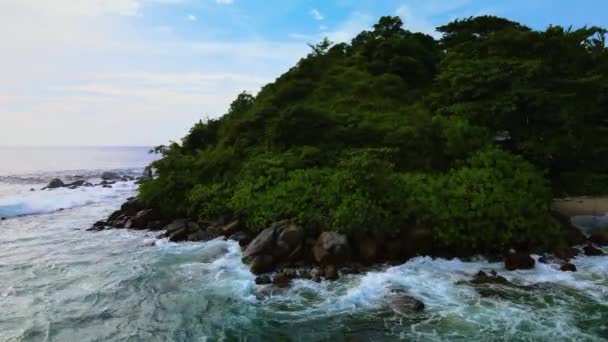 Doğa Birliği Zümrüt Renkli Deniz Suyu Gelişmekte Olan Bitkilerin Çarpıcı — Stok video