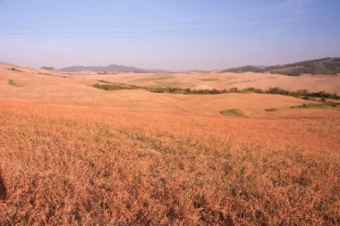 Tuscany panorama, rolling hills and fields at sunset