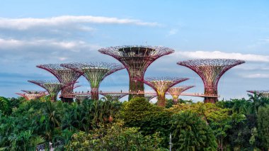Dyalight körfezindeki bahçedeki Supertree manzarası. Singapur