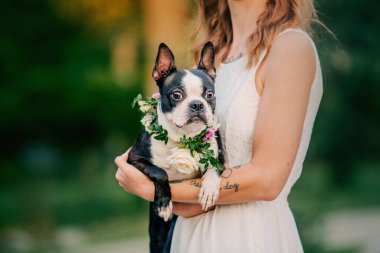 The bride in a wedding dress with her dog. Pet-friendly wedding.