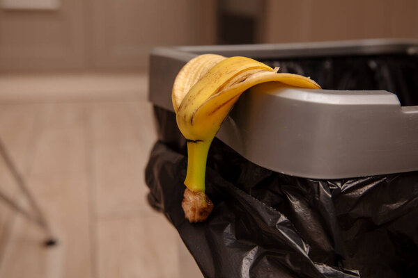 banana peel in a trash bin