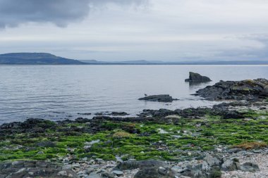 Kuzey İrlanda Kıyı Görüntüleri: Atlantik Okyanusu Fotoğrafları