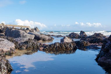 Kuzey İrlanda Kıyı Görüntüleri: Atlantik Okyanusu Fotoğrafları
