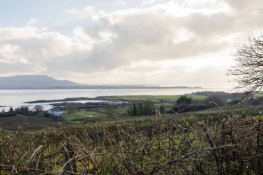 Kuzey İrlanda Kıyı Görüntüleri: Atlantik Okyanusu Fotoğrafları