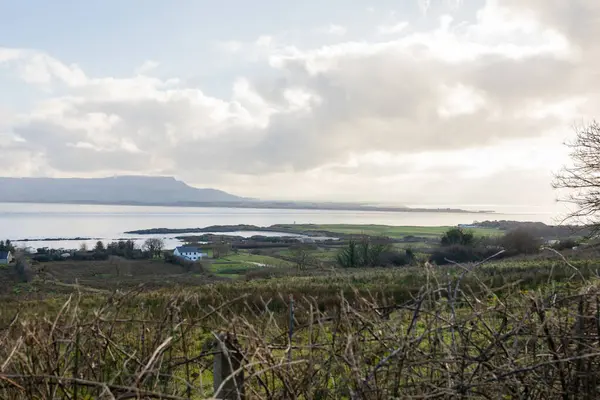 Kuzey İrlanda Kıyı Görüntüleri: Atlantik Okyanusu Fotoğrafları