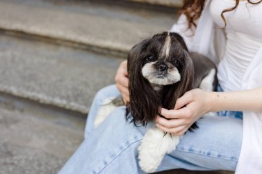 Mavi Kotlu Adam Küçük Siyah ve Beyaz Shih Tzu köpeğini Tutuyor