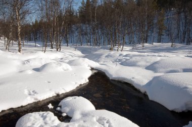 Small river in a forest with snow  in winter. Lapland